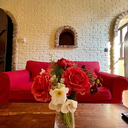 Flats By Lybeer Group מלון 2*